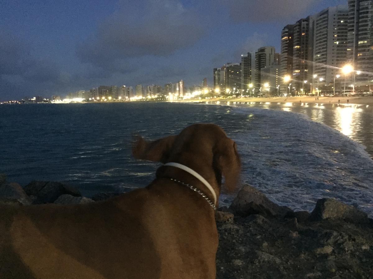 Apartamento Na Melhor Localizacao De Fortaleza!! Dış mekan fotoğraf