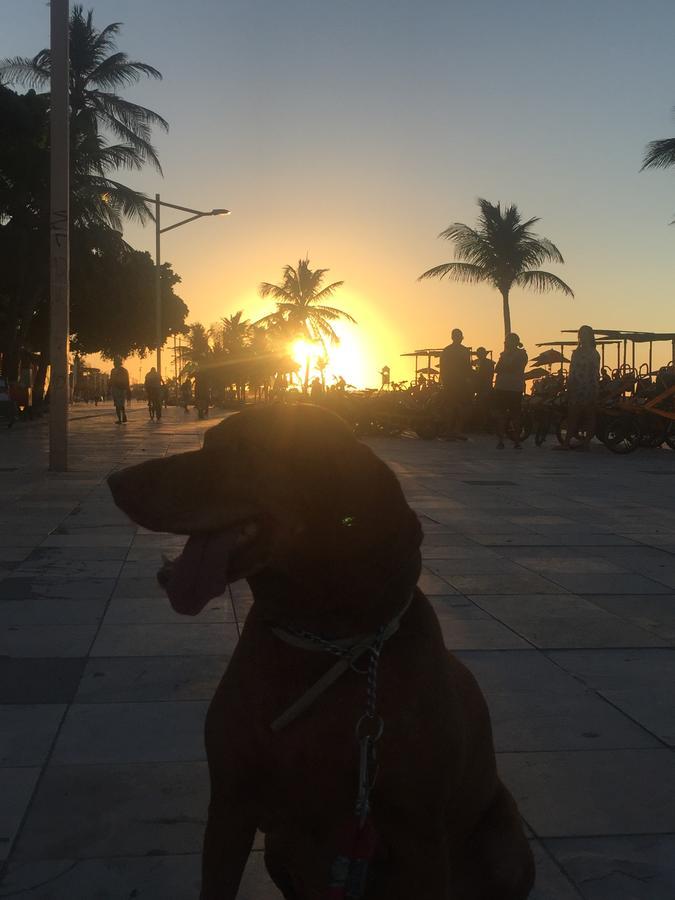Apartamento Na Melhor Localizacao De Fortaleza!! Dış mekan fotoğraf